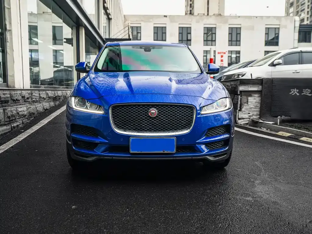 Jaguar F-PACE 2021 из CN, фото 6