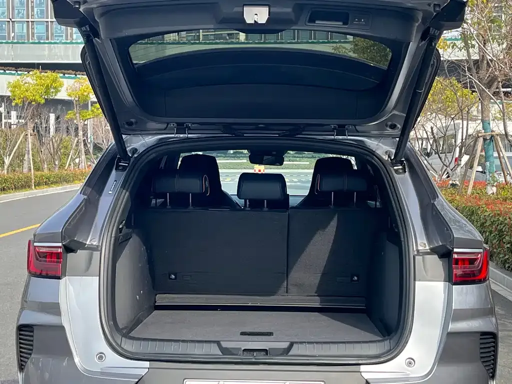BYD PLUS New Energy 2023 из CN, фото 5