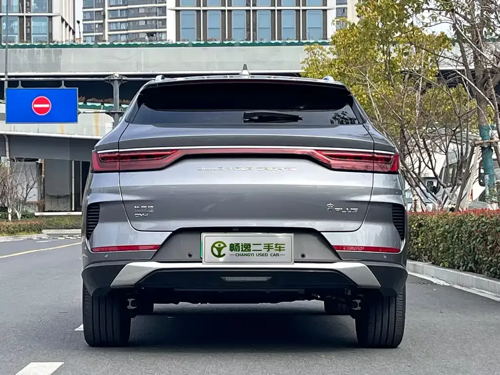 BYD PLUS New Energy 2023 из CN, фото 3