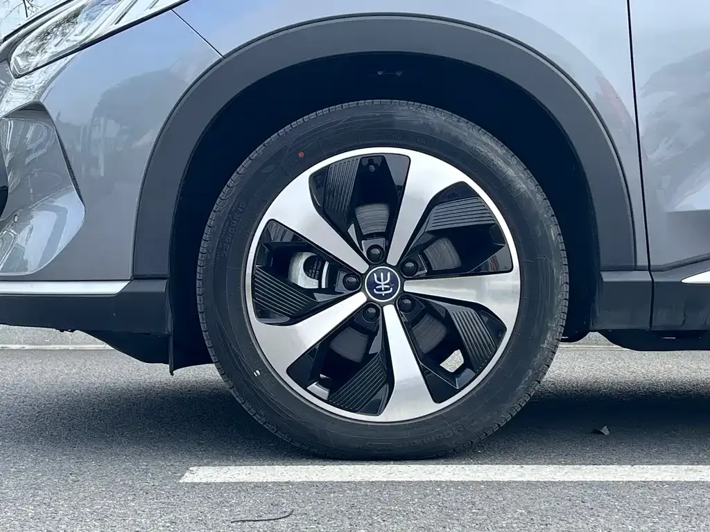 BYD PLUS New Energy 2023 из CN, фото 4