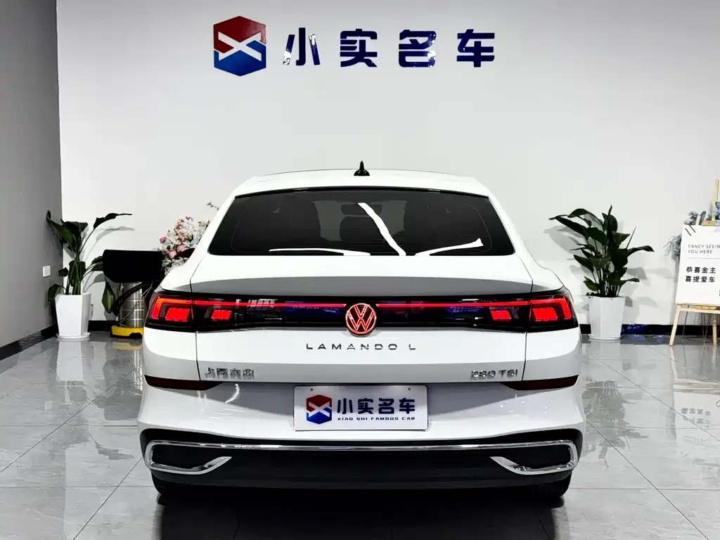 Volkswagen Lamando 2024 из CN, фото 7