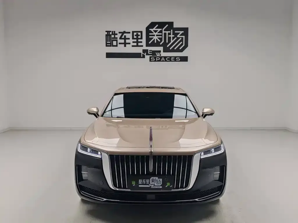 Hongqi H9 2023 из CN, фото 9