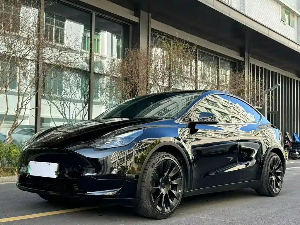 Tesla Model Y — фото 1