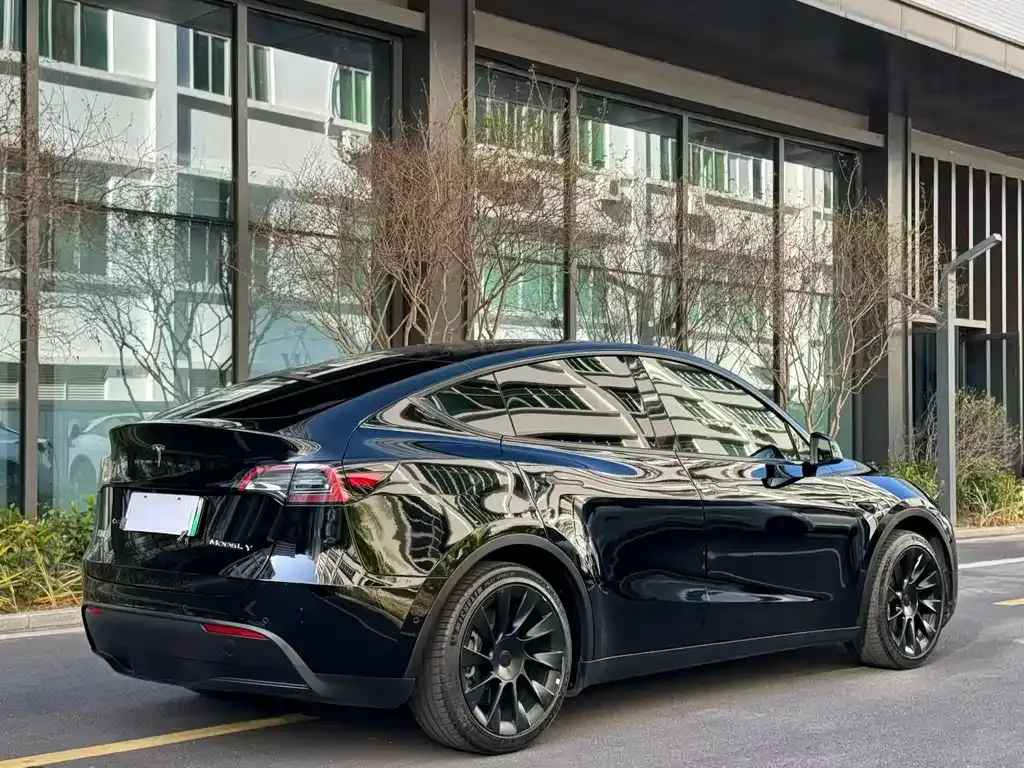 Tesla Model Y — фото 3