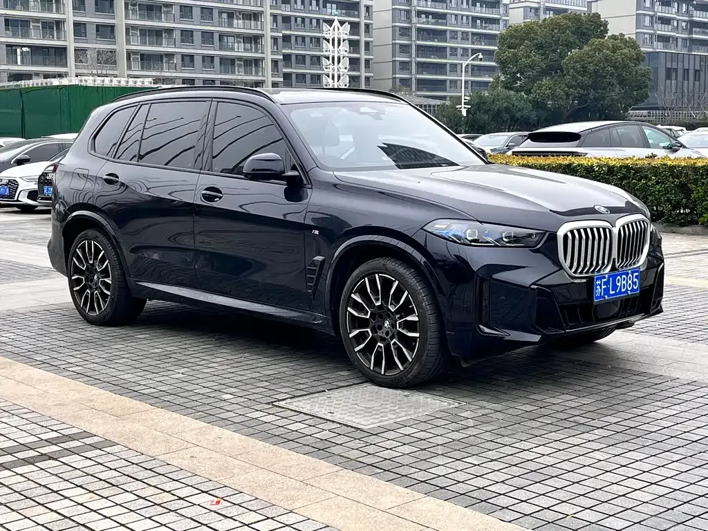 BMW X5 — фото 6