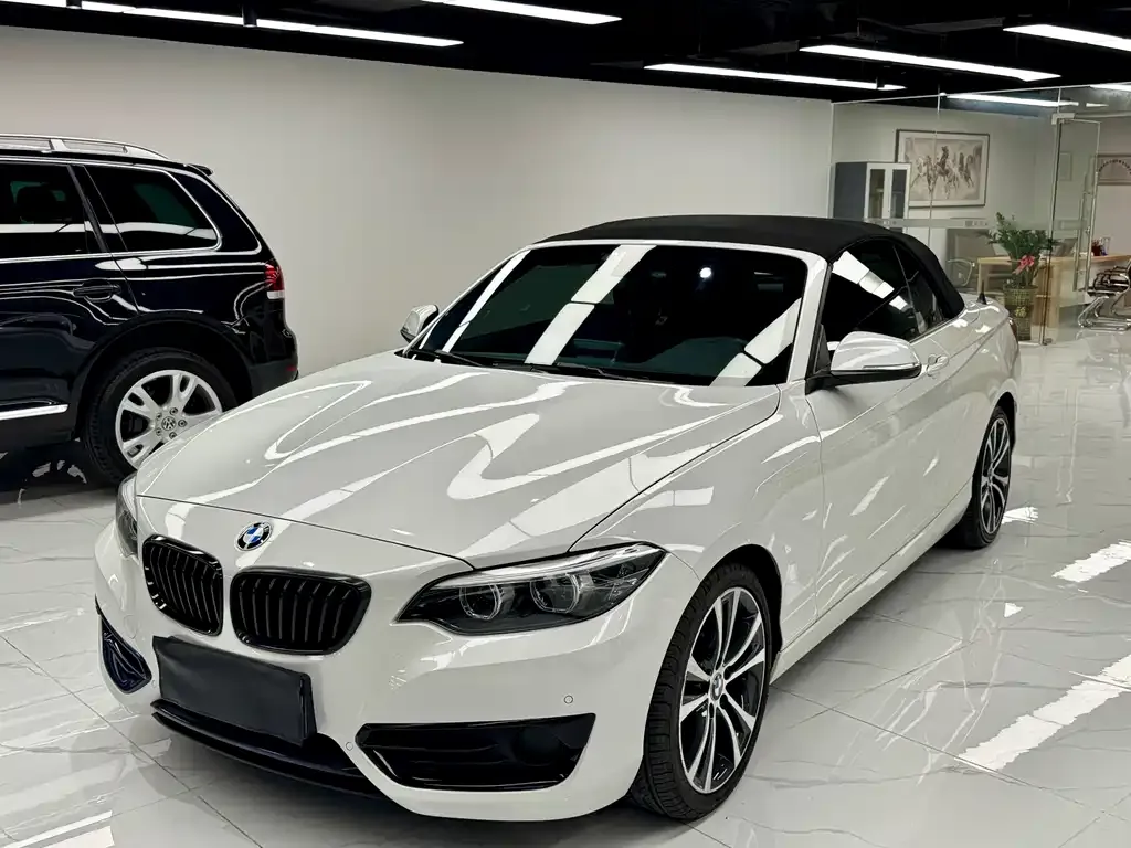 BMW 2 Series (Import) 2021 из CN, фото 1