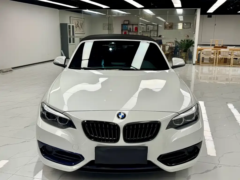BMW 2 Series (Import) 2021 из CN, фото 2