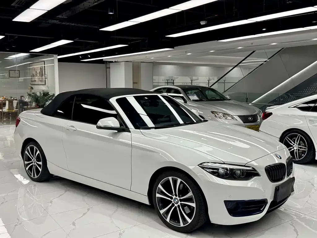 BMW 2 Series (Import) 2021 из CN, фото 3