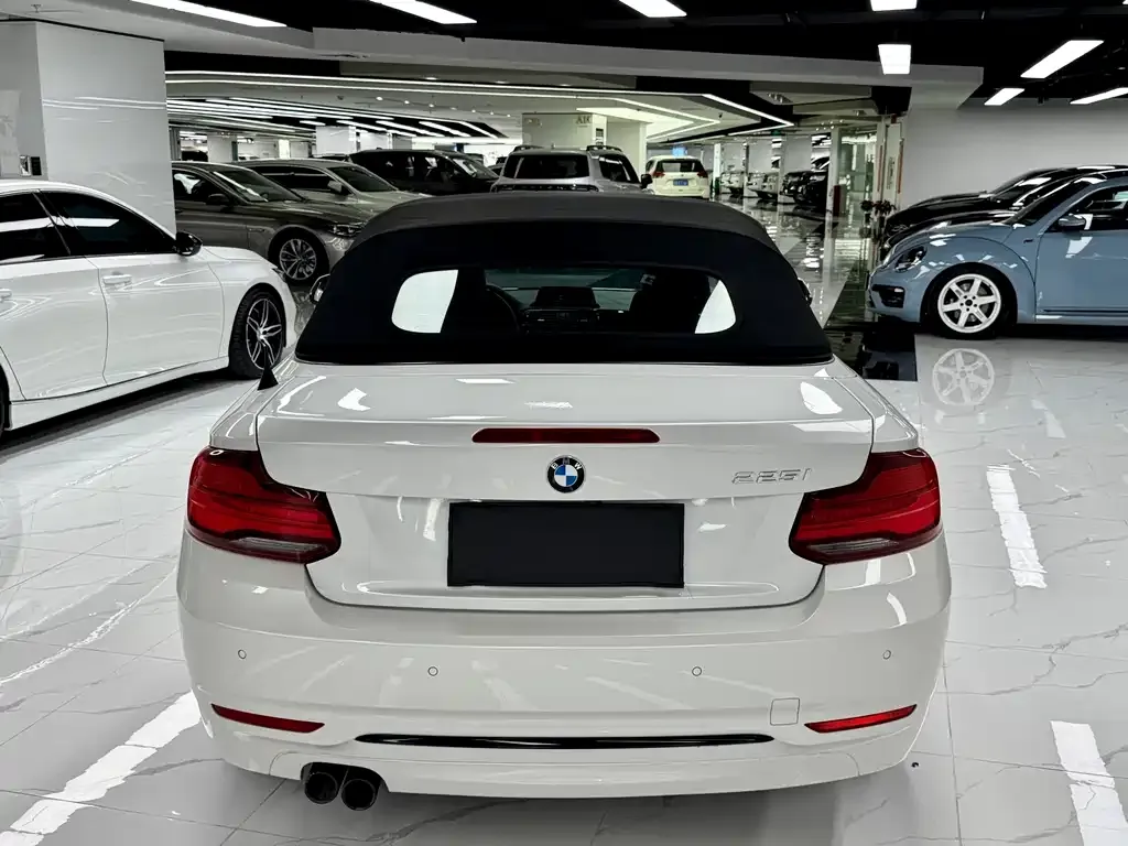 BMW 2 Series (Import) 2021 из CN, фото 6
