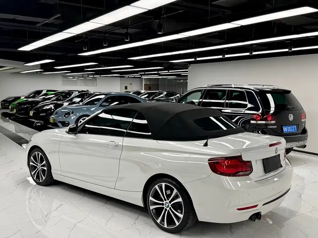 BMW 2 Series (Import) 2021 из CN, фото 7