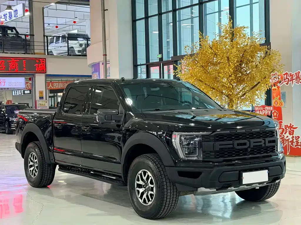 Ford F-150 Raptor 2023 из CN, фото 6