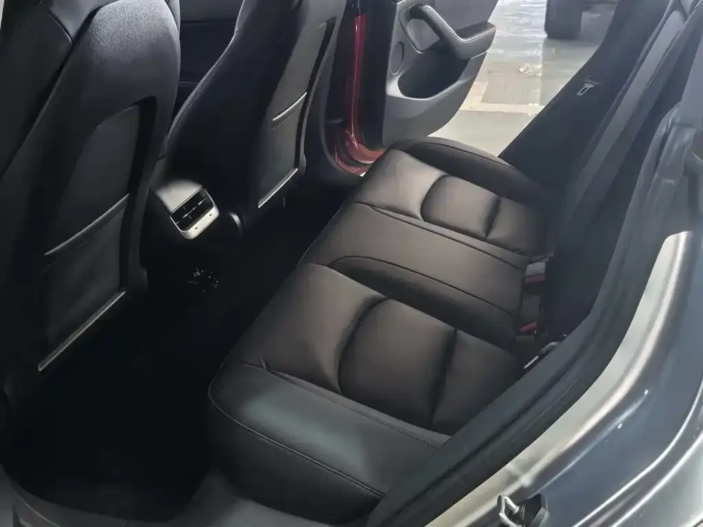 Tesla Model 3 2021 из CN, фото 2