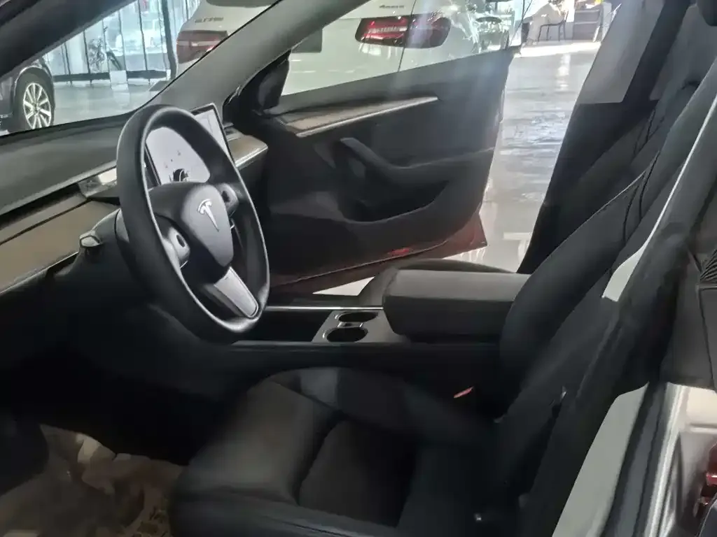 Tesla Model 3 2021 из CN, фото 3