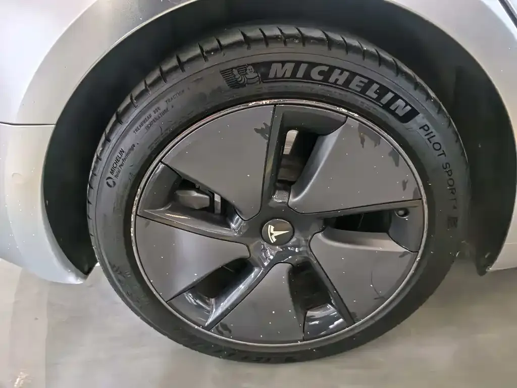 Tesla Model 3 2021 из CN, фото 4