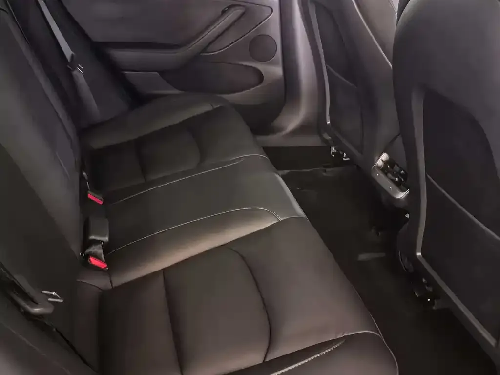 Tesla Model 3 2021 из CN, фото 10