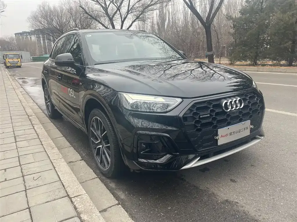Audi Q5L 2024 из CN, фото 6