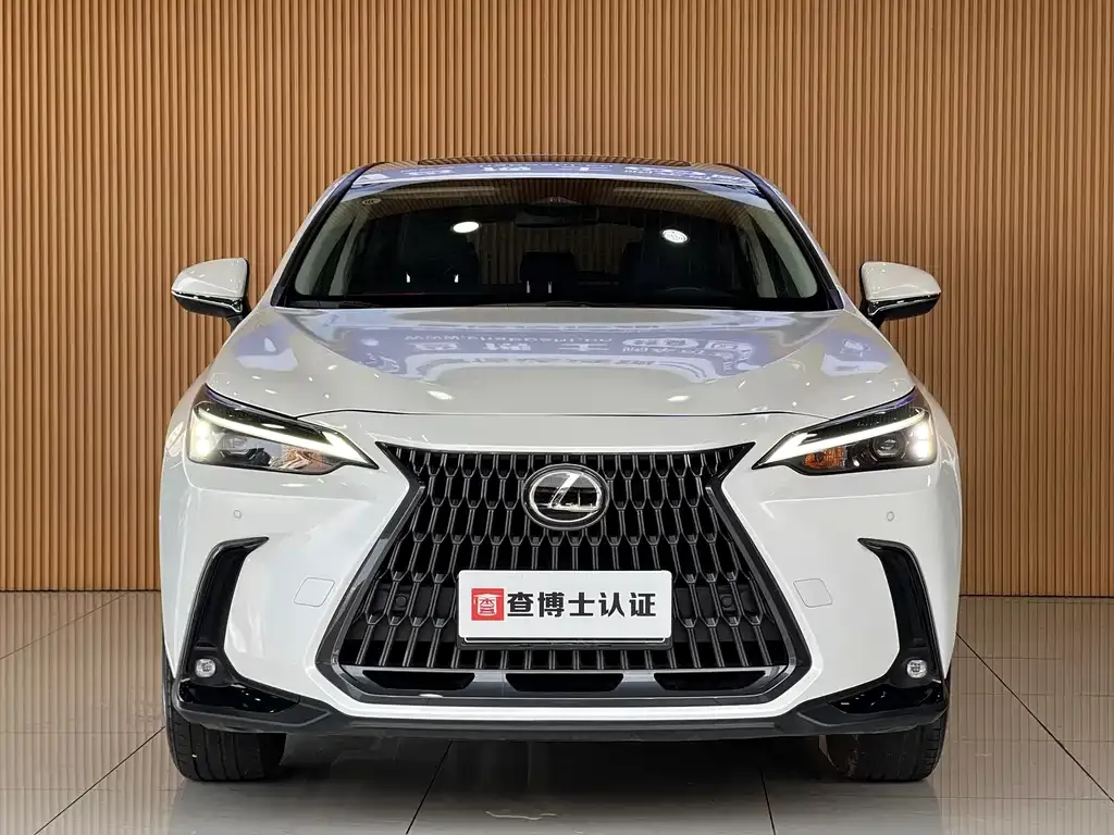 Lexus NX — фото 6