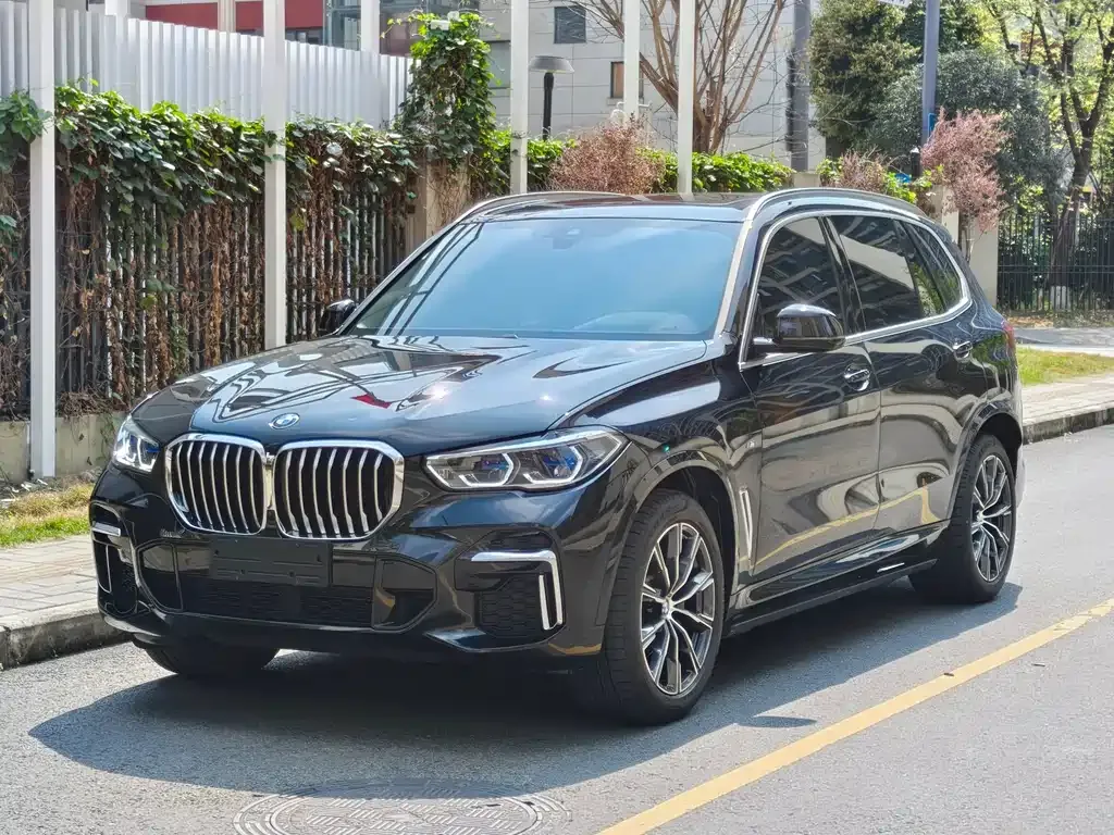 BMW X5 2022 из CN, фото 1