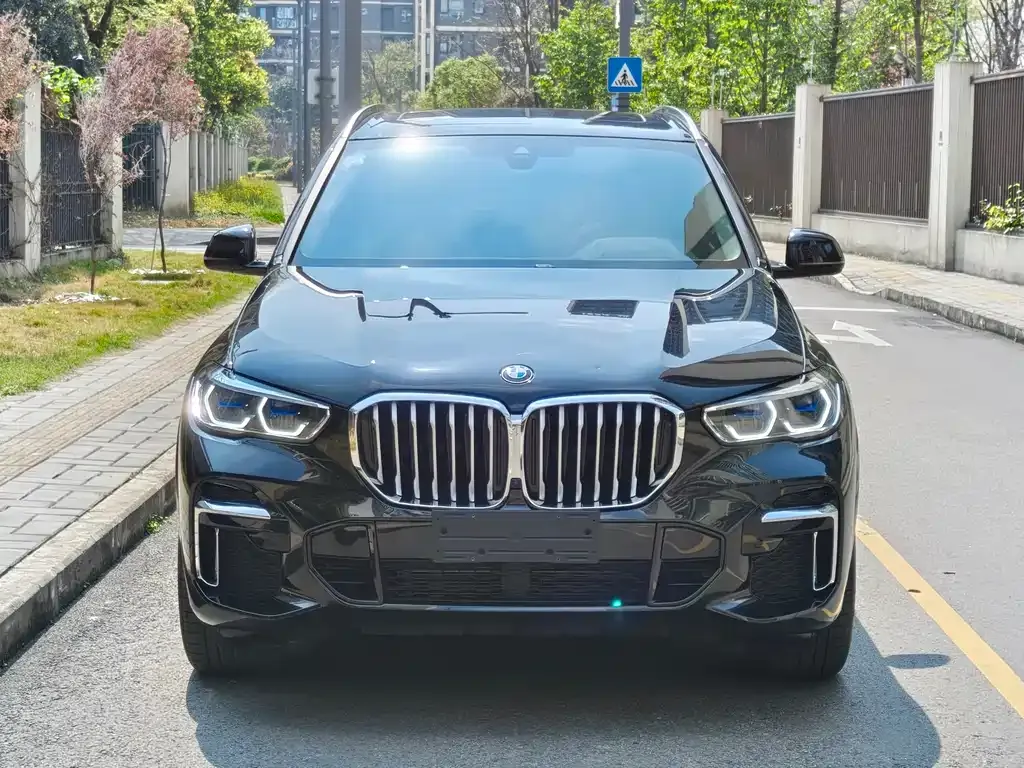 BMW X5 2022 из CN, фото 2