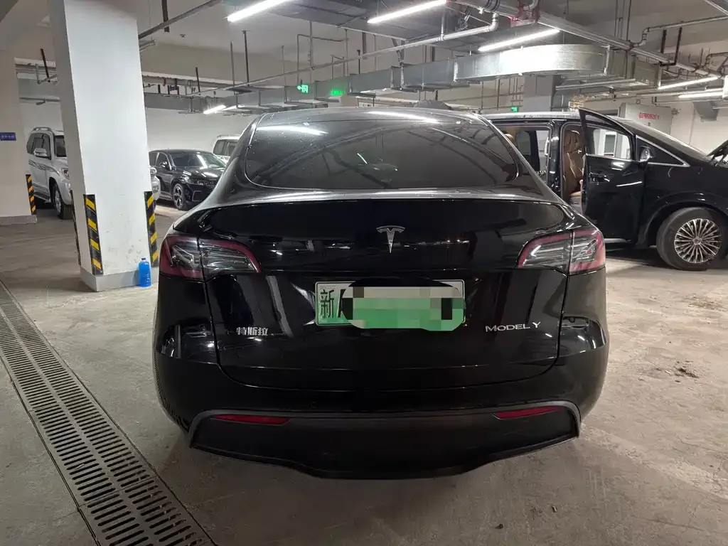 Tesla Model Y — фото 9