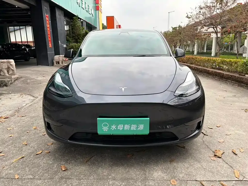 Tesla Model Y — фото 4