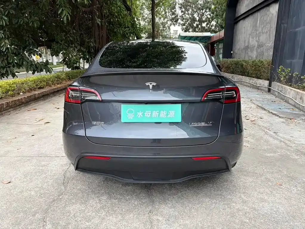 Tesla Model Y — фото 6