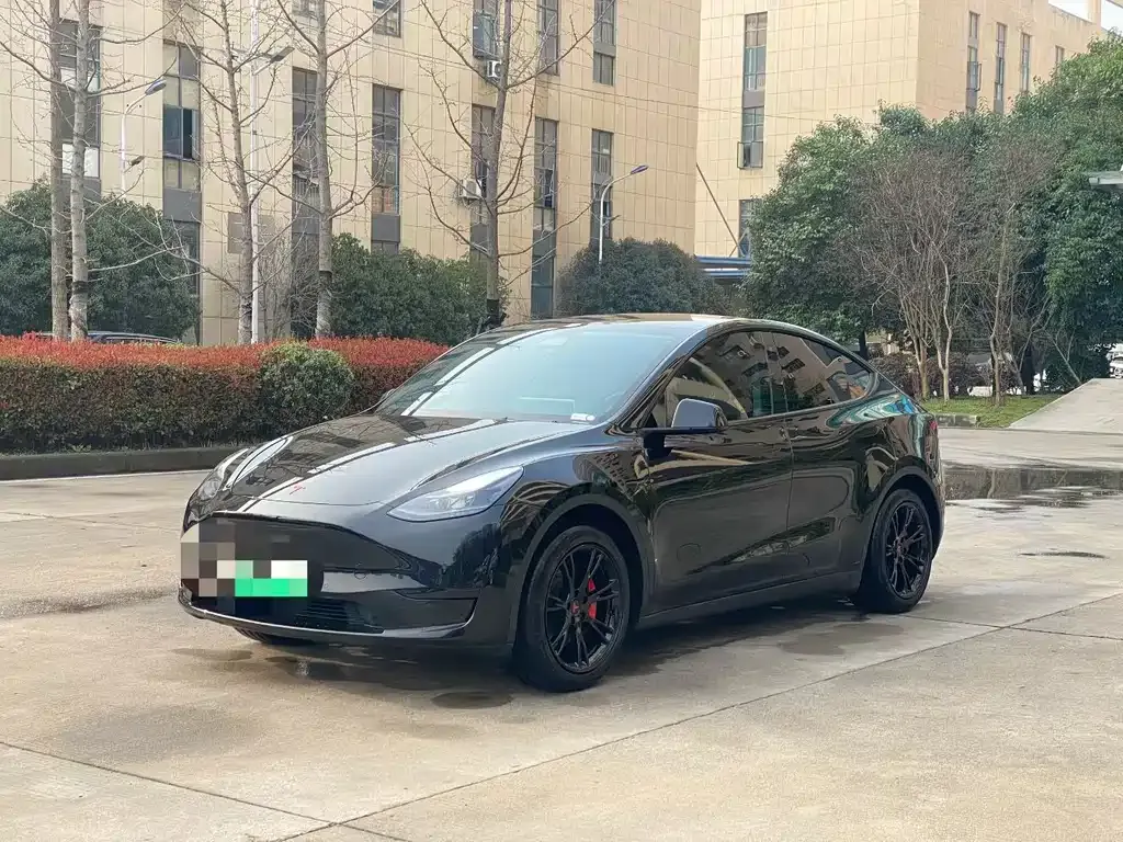 Tesla Model Y 2024 из CN, фото 1