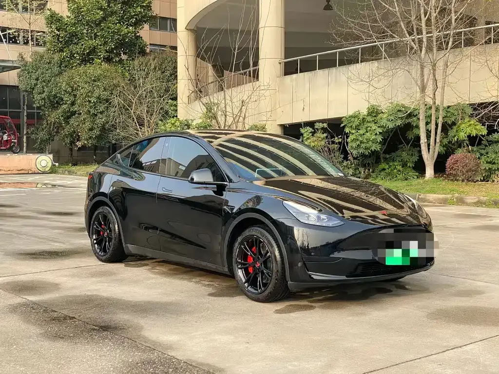 Tesla Model Y 2024 из CN, фото 6