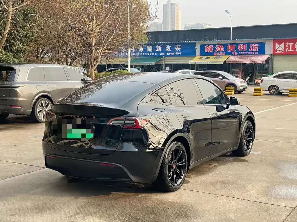 Tesla Model Y 2024 из CN, фото 4
