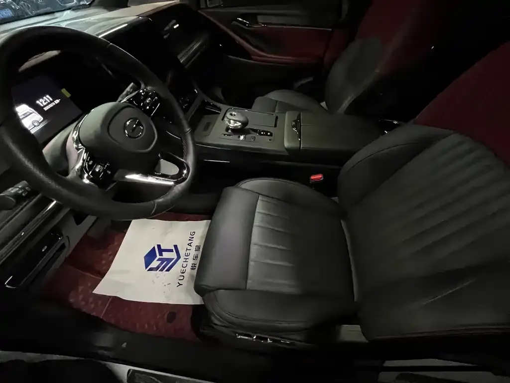 GAC Motor Trumpchi M8 2023 из CN, фото 10