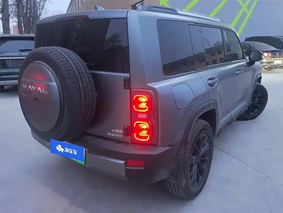 Haval Menglong New Energy 2024 из CN, фото 2