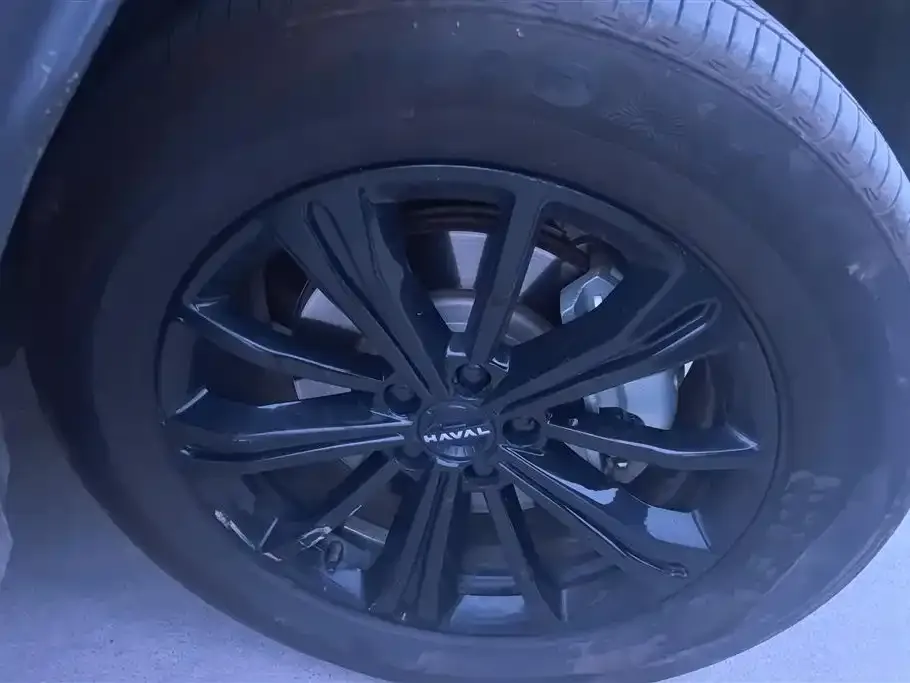 Haval Menglong New Energy 2024 из CN, фото 4