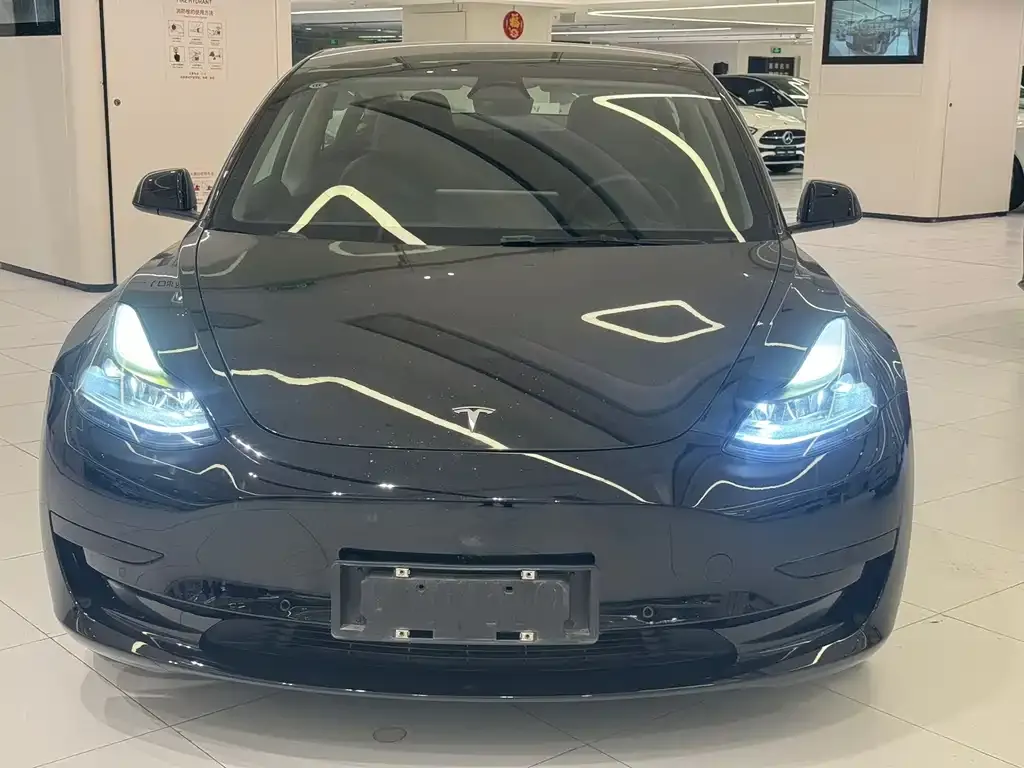 Tesla Model 3 2022 из CN, фото 2