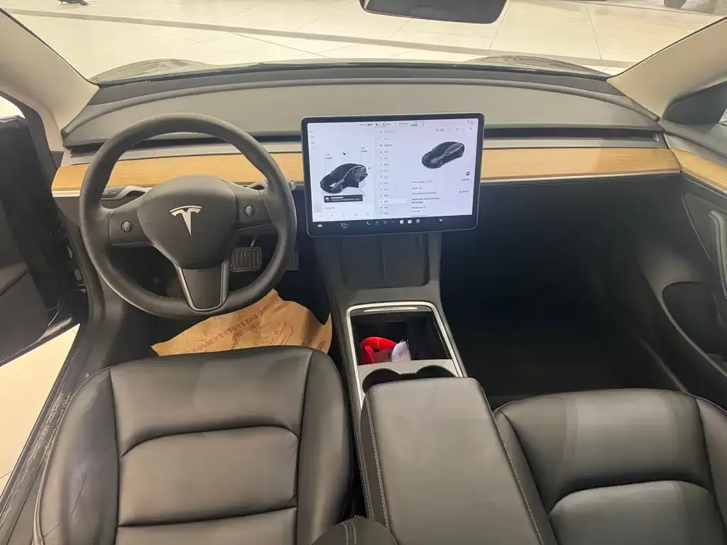 Tesla Model 3 2022 из CN, фото 5