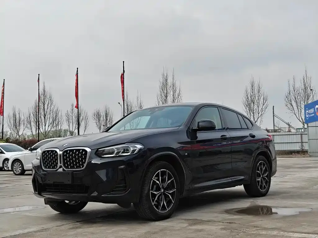 BMW X4 2023 из CN, фото 1