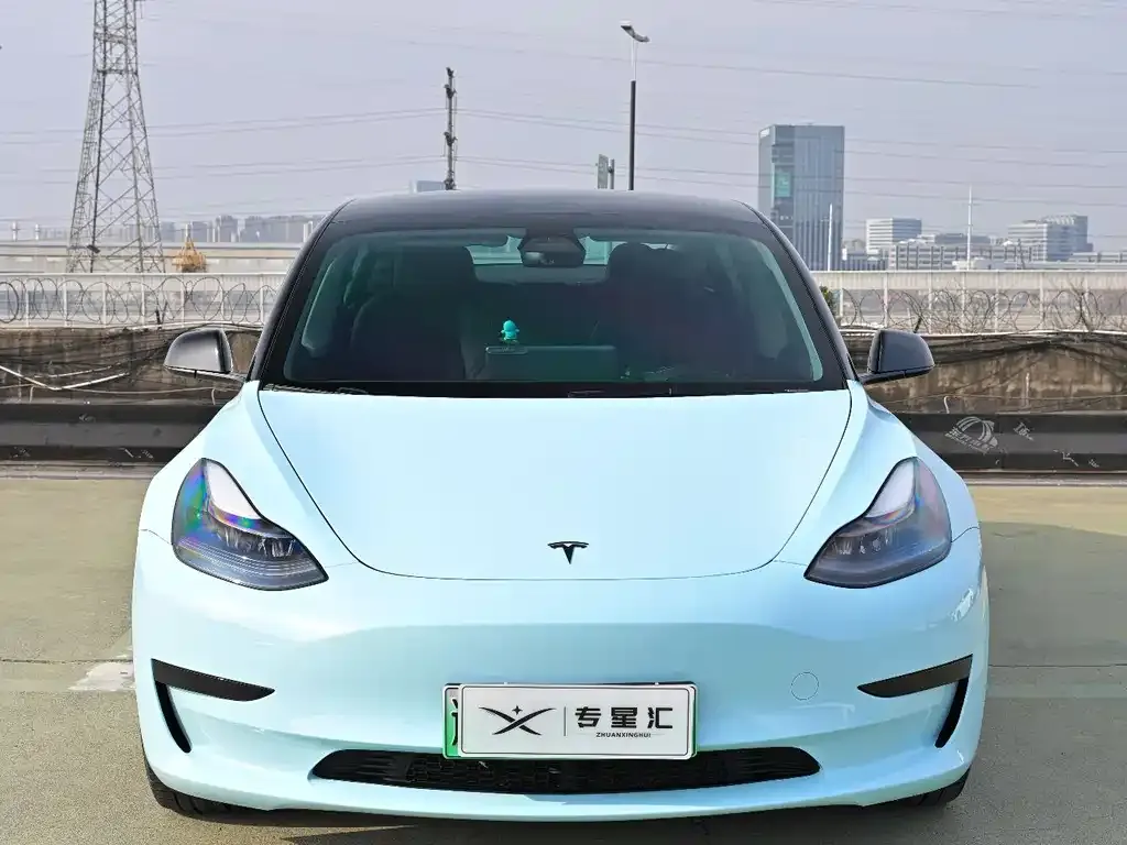 Tesla Model 3 2021 из CN, фото 8