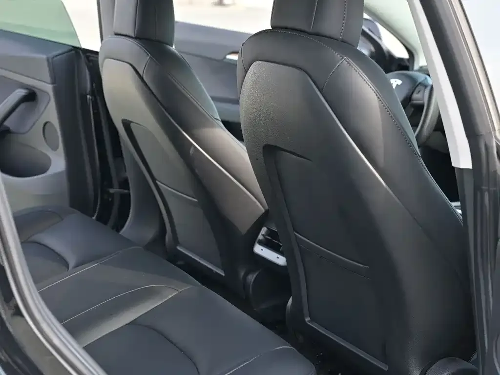 Tesla Model 3 2021 из CN, фото 4