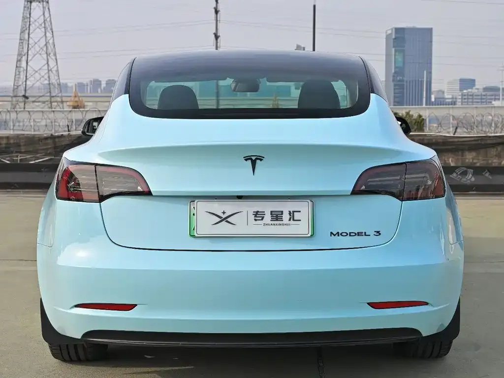Tesla Model 3 2021 из CN, фото 6