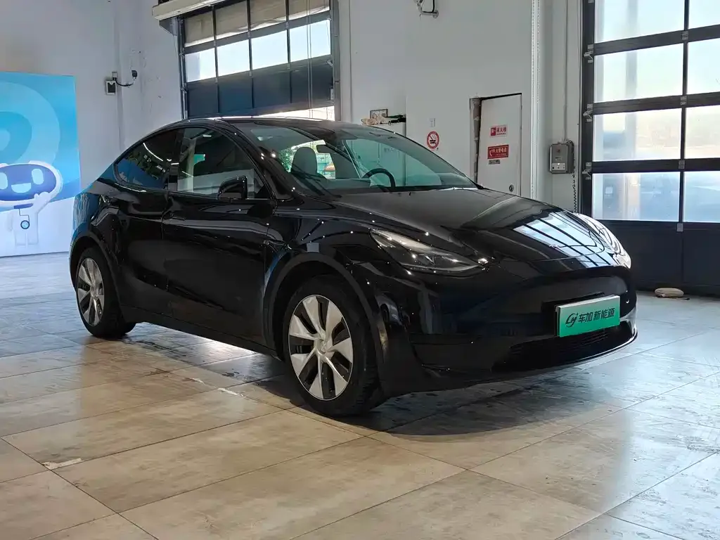 Tesla Model Y — фото 9