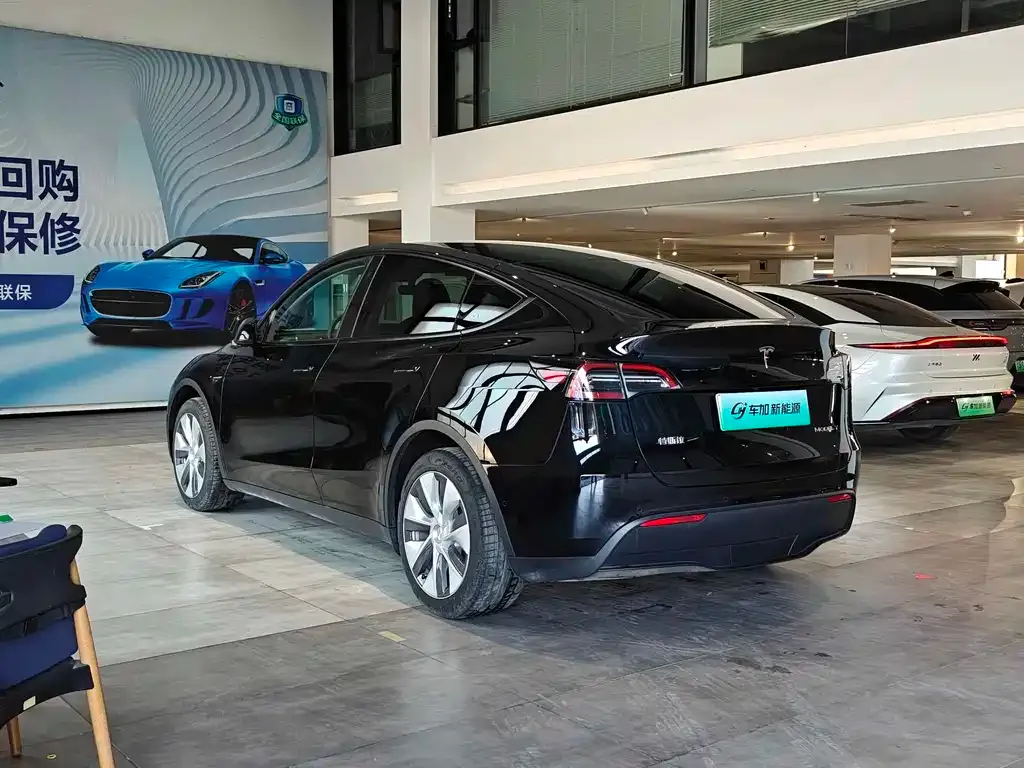 Tesla Model Y — фото 2