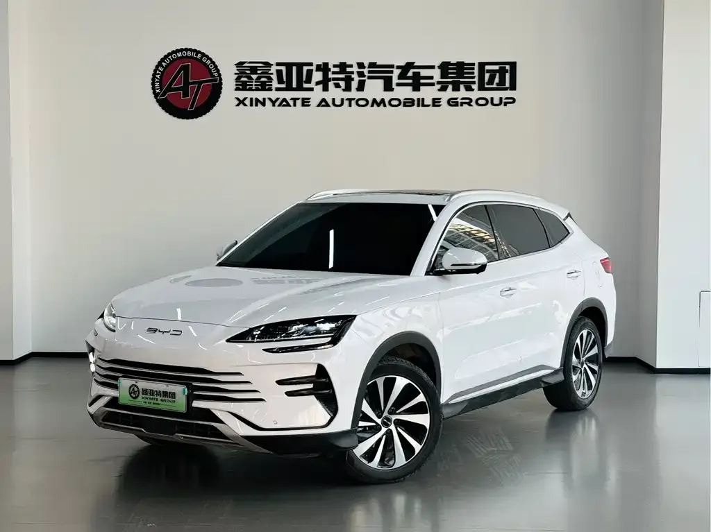 BYD PLUS New Energy — фото 1