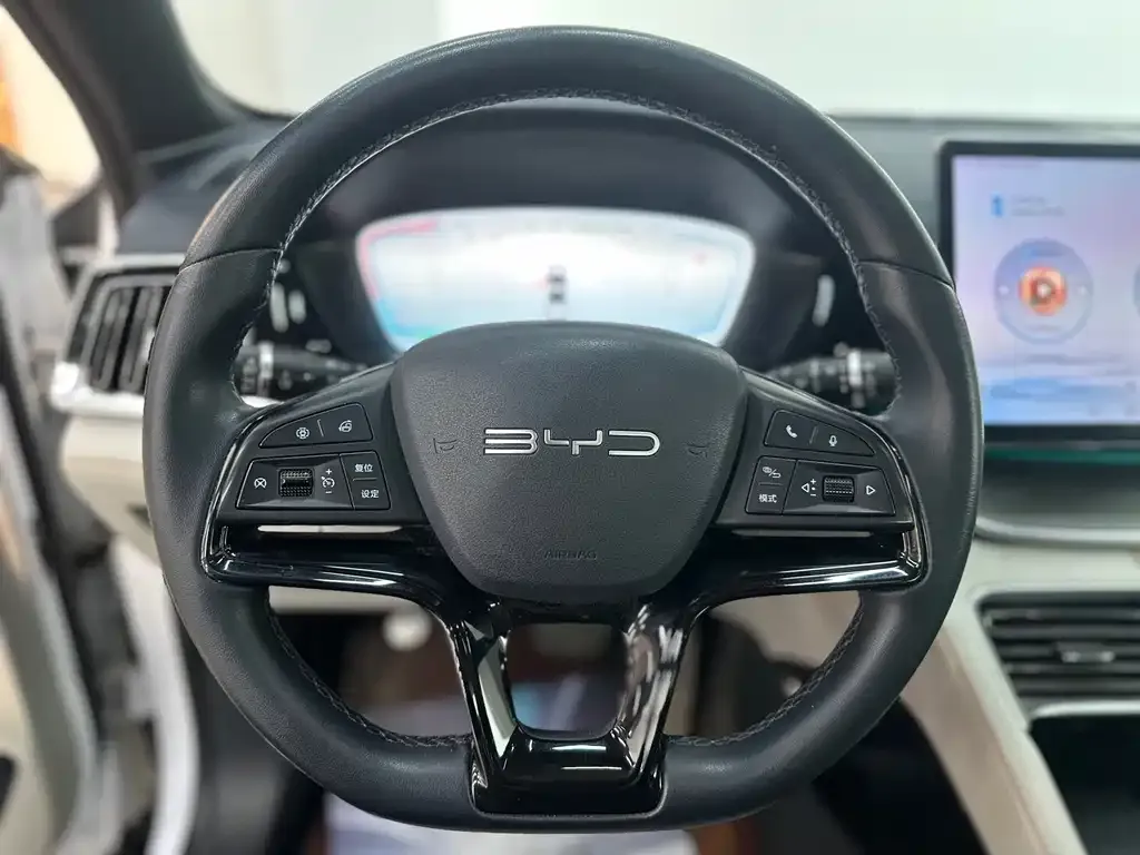 BYD PLUS New Energy — фото 2