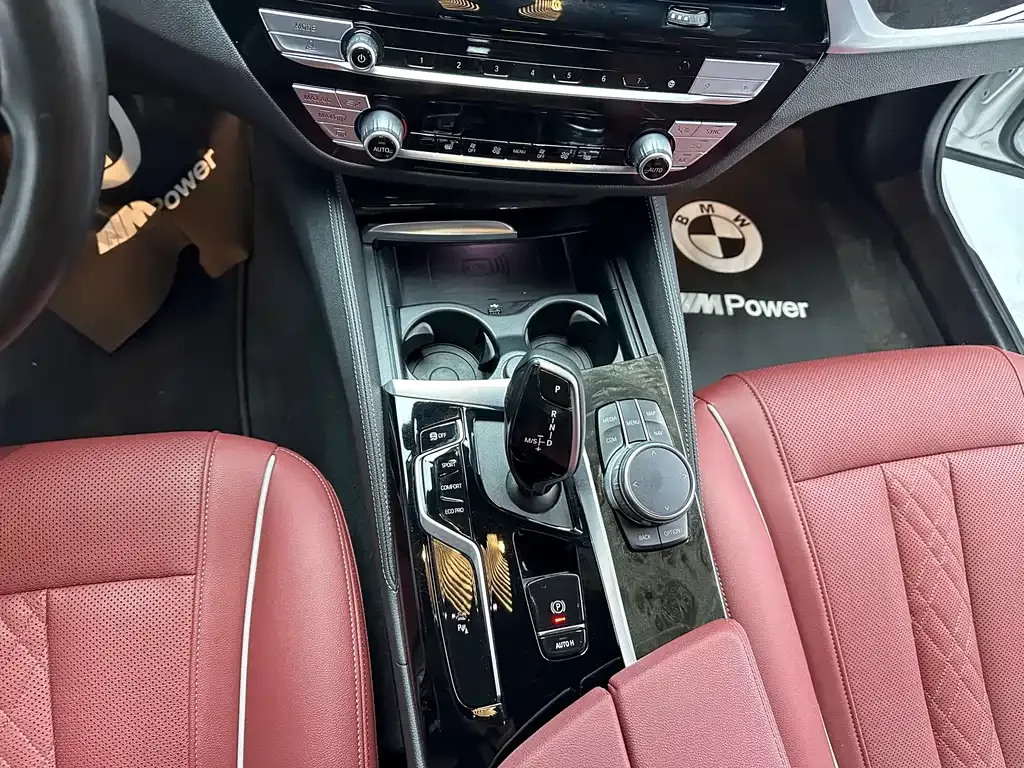 BMW 5 Series 2021 из CN, фото 8