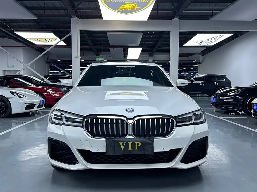 BMW 5 Series 2021 из CN, фото 7