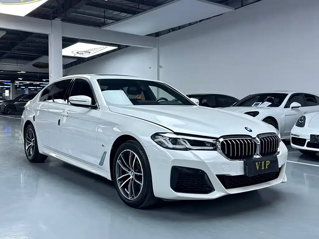 BMW 5 Series 2021 из CN, фото 4