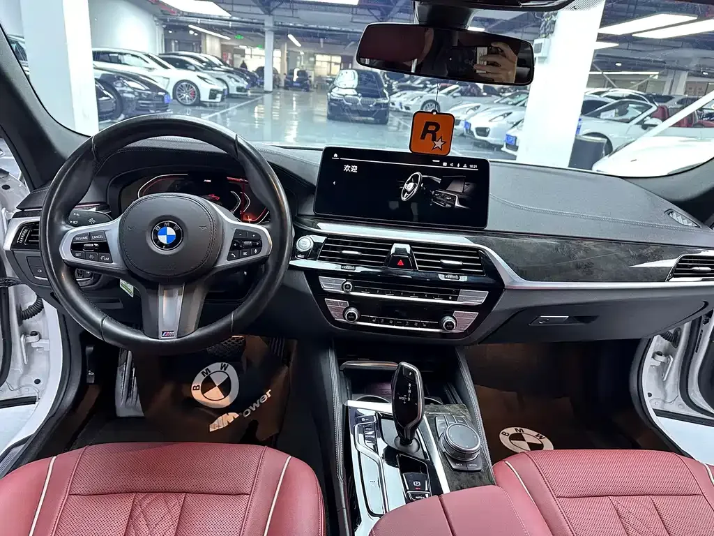BMW 5 Series 2021 из CN, фото 10