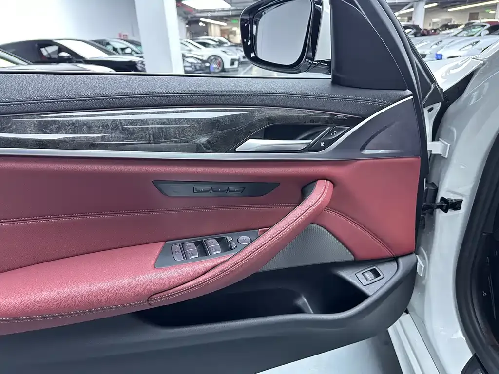 BMW 5 Series 2021 из CN, фото 9