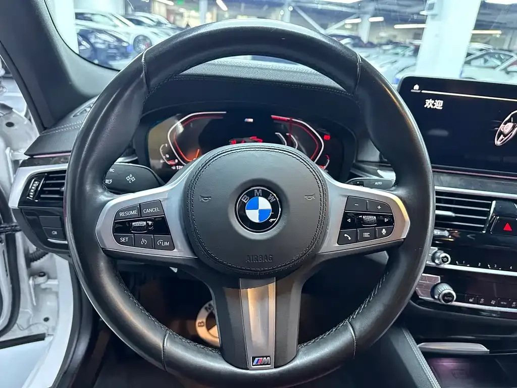 BMW 5 Series 2021 из CN, фото 6