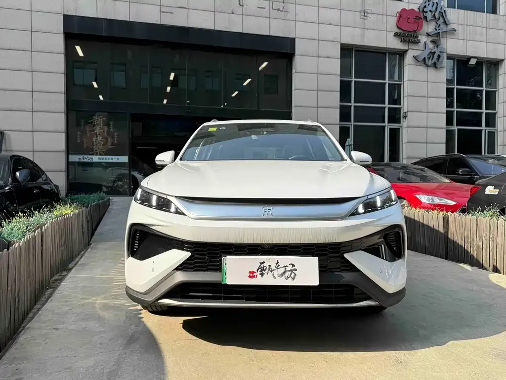 BYD Pro New Energy — фото 2