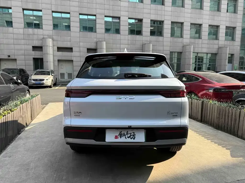 BYD Pro New Energy — фото 6